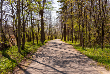 A Path Through The Woods In The Local Park In Spring In Wisconsin