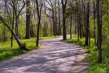 A Path Through The Woods In The Local Park In Spring In Wisconsin
