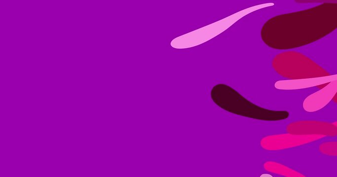 Wipe transition long horizontal forms pink. Cute liquid figure animation cartoon. Seamless loop isolated. Motion design element with alpha channel. Business, art, fashion, etc...