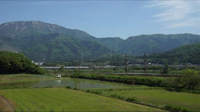 初夏の伊吹山麓を走る313系普通列車 （東海道本線 近江長岡 - 柏原, 2023年5月）