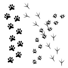 The silhouette of the traces of the, wolf, cat and the vbird. Vector illustration.