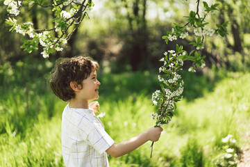 Happy little boy walking in spring garden. Child playing with branch of an cherry tree and having...