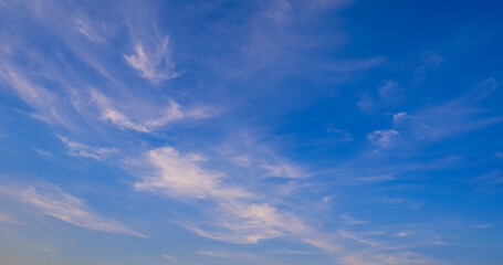 Naklejka na ściany i meble Many white cirrus fluffy clouds in curve line pattern on blue sky background