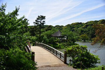 Fototapeta na wymiar 初夏の日本庭園　2