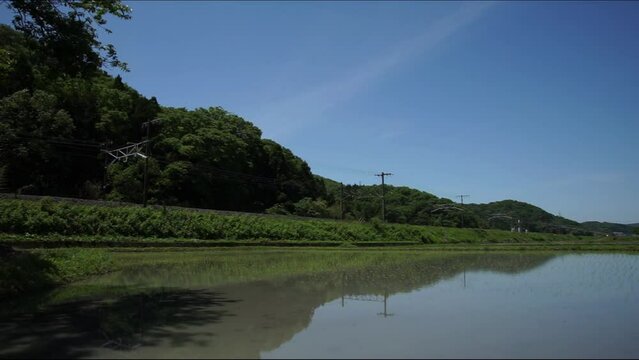 初夏の伊吹山麓を走る313系普通列車 （東海道本線 近江長岡 - 柏原, 2023年5月）