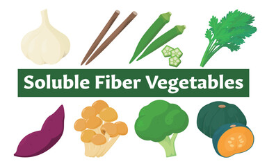 Vector illustration of soluble fiber vegetables.