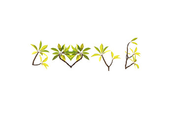 Isolated image of tree branch converted to lettering on png file at transparent background.