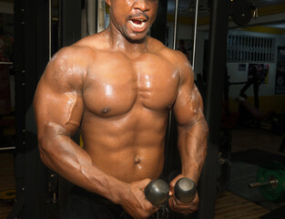 Fototapeta na wymiar muscular bodybuilder posing in the gym as he works out