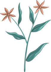 Floral Flower Illustration Element