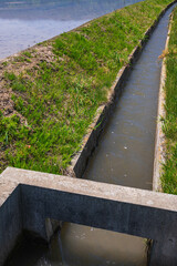 田植え頃の用水路と枡