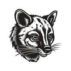 civet, vintage logo line art concept black and white color, hand drawn illustration