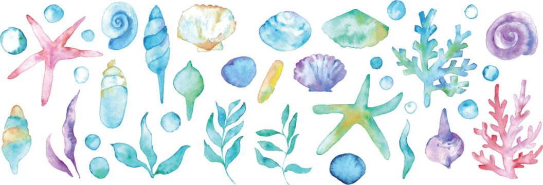 水彩画。水彩タッチの夏の貝殻ベクターイラスト。ヒトデや貝の背景フレーム。Watercolor painting. Summer seashell vector illustration with watercolor touch. Background frame of starfish and shells.