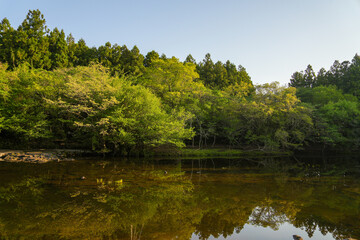 Lakeside surrounded by a secluded and beautiful forest