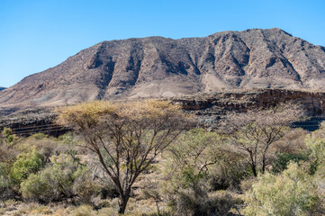 Fototapeta na wymiar Landscape shot of the Namibian Desert between Windhoek and sesriem