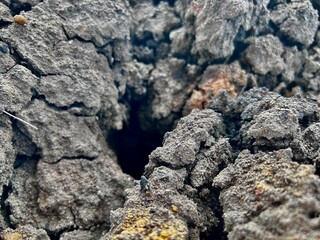 photos from nature barren soil without precipitation