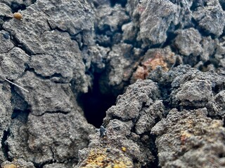 photos from nature barren soil without precipitation