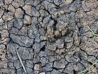 photos from nature barren soil without precipitation