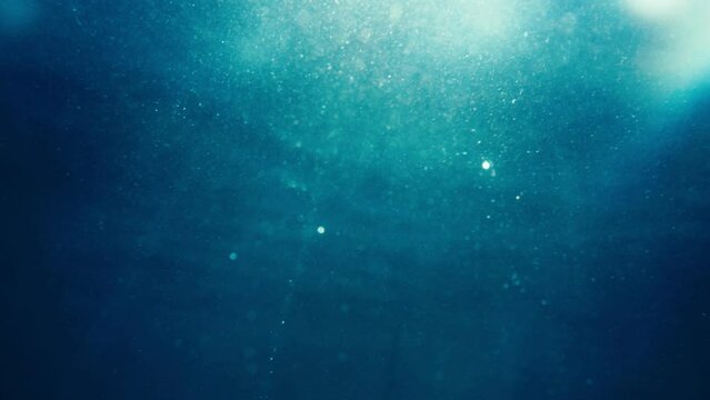 海中