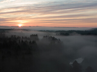 Naklejka na ściany i meble Morning Mist: Aerial View of Enchanting Forest Landscape at Sunrise in Northern Europe