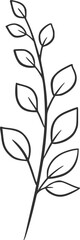 botanical vector, outline, illustration, nature, flower, summer