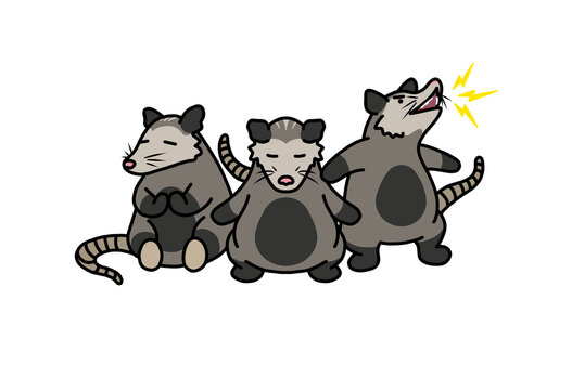 cartoon opossums