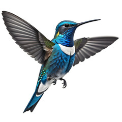 Sapphire hummingbird, isolated, transparent background, no background. PNG. Generative AI.