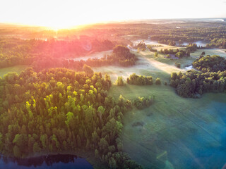 Serene Sunrise: A lush green landscape with misty trees in the summer morning in Northern Europe