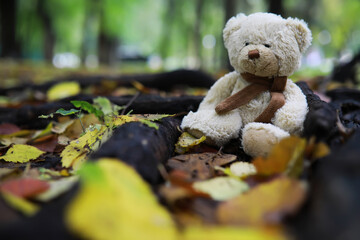 Adorable brown stuffed toy teddy bear with yellow maple leaf on head sits on dry orange leaves pile...