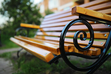 Bench in a park on a sunny autumn morning. Morning walk.