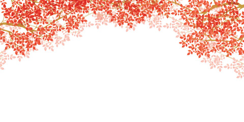 紅葉　秋　風景　背景