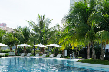 Obraz premium swimming pool with trees