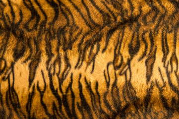 Beautiful tiger fur pattern texture background.