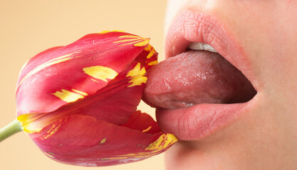 Plump lips lick tulip. Natural lips with tulip. Sexy woman mouth on tulip, macro lip. Caring and...