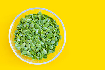 Leucaena leucocephala isolated seeds on yellow background