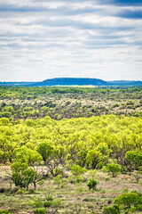 Fototapeta na wymiar A picturesque landscape of rolling hills, lush grasslands and a distant horizon stretch across the natural beauty of San Angelo State Park in Texas.