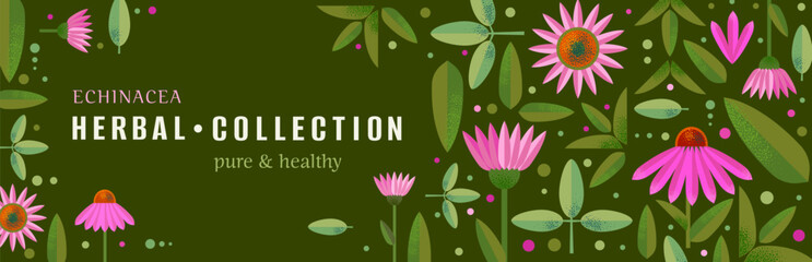 banner, eco shop, natural cosmetics shop premium quality poster. Advertisement for the sale of goods. Natural design with echinacea leaves and flowers.