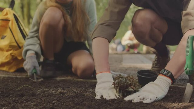 Low section of unrecognizable volunteers planting together in public park on sunny day