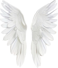 generative ai, angel wings isolated on white
