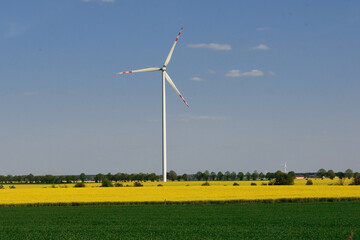 Wind turbine against the blue, clear sky and yellow rapeseed. 