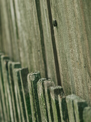 old wooden fence, old boards on the fence, texture of old wood. Old fence.