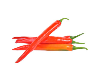 Hot chili peppers isolated on  transparent png