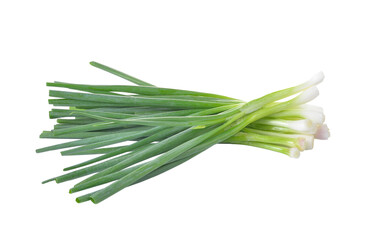 Green Onion on  transparent png
