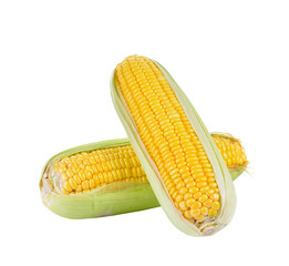 Sweet corn isolated on  transparent png