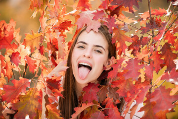 Portrait of young woman with autumn leafs. Romantic girl dream, hold fall maple leaves. Autumnal season.