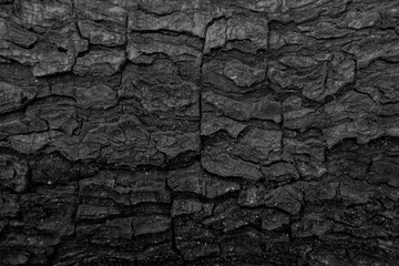 burnt wood texture. cracked tree trunk charcoal is black