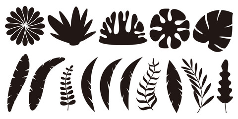 plant, leaf, flower icon set. silhouette flat design, summer vector ornament.