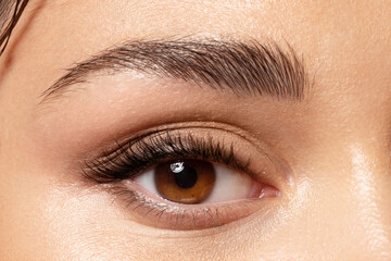 Close up of beautiful brown female eye with perfect shaped fashion eyebrow, smoky eyeshadow,...