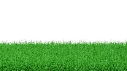 Naklejka premium Grass 3d isolated