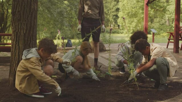 Cropped shot of male teacher watching multiethnic school children planting green seedlings in soil at public park on sunny day