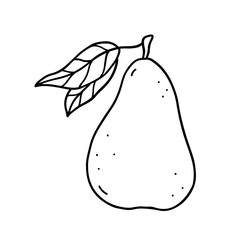 Pear with leaves isolated on white background. Vector hand-drawn illustration in outline style. Perfect for cards, decorations, logo, menu, recipes, various designs.